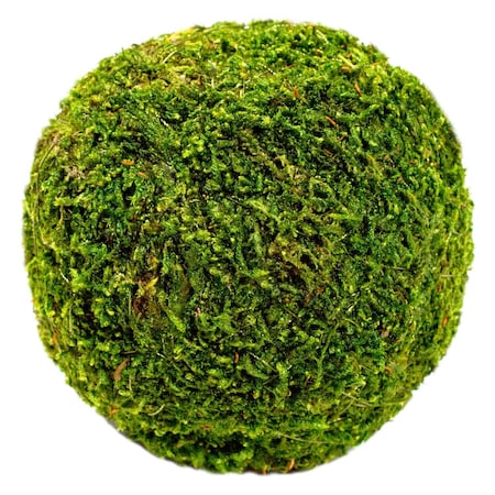 Supermoss Green Moss Ball 21648